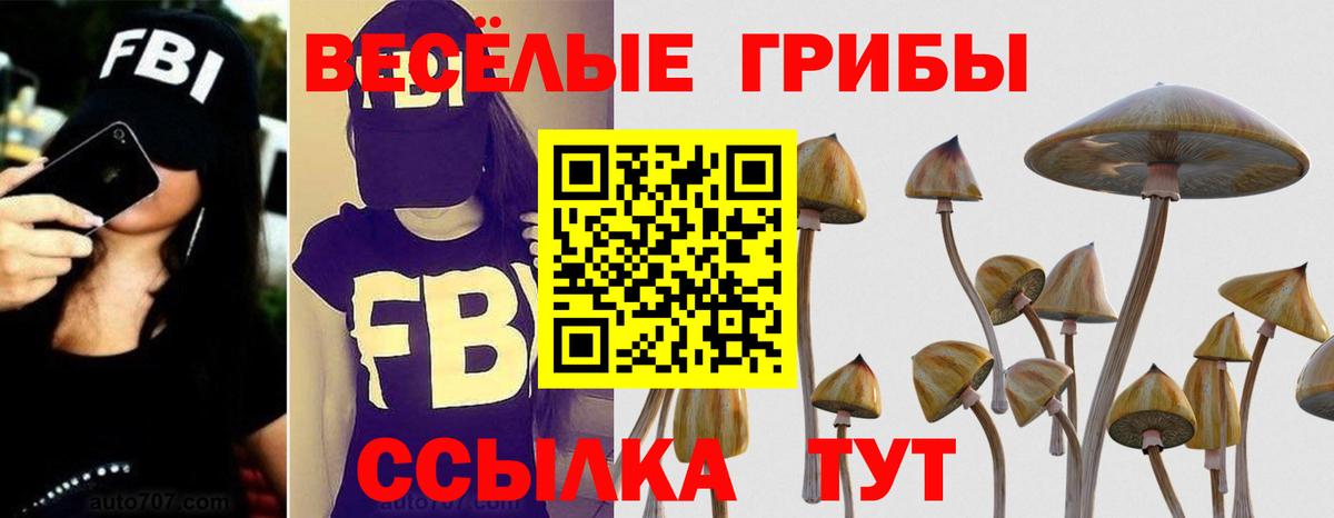 Семилуки  Псилоцибиновые грибы прущие грибы  хочу   Вход с VPN 