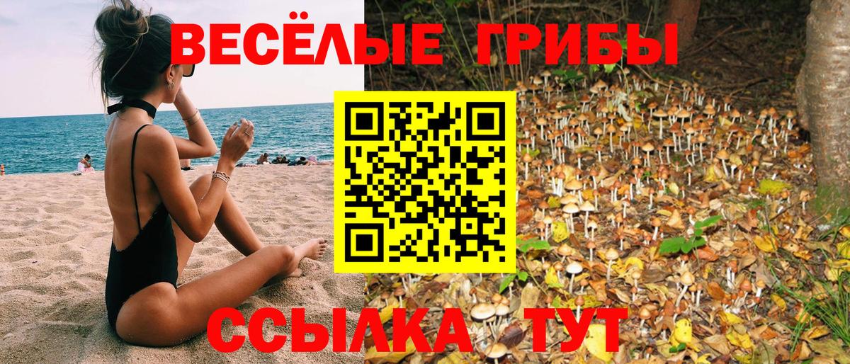 Псилоцибиновые грибы Cubensis Семилуки